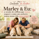 Marley e Eu a sessão de cinema que nunca esqueci e como um cachorro marca nossa vida para sempre