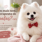 Steve, o Lulu da Pomerânia com gravatinha vermelho — terapeuta de 4 patas