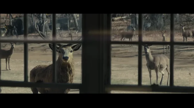 Cena do filme Dia D, de Steven Spielberg, com clima de mistério, OVNIs e revelação.