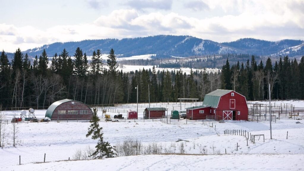 Rancho da série Heartland na neve, com paisagem de inverno, montanhas e clima acolhedor.