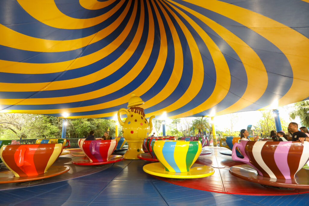 Atração das xícaras malucas no Beto Carrero World durante viagem em família com crianças.