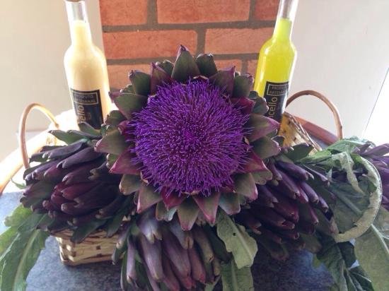 Flor de alcachofra na Cantina Tia Lina em São Roque, ingrediente tradicional usado em pratos do restaurante.