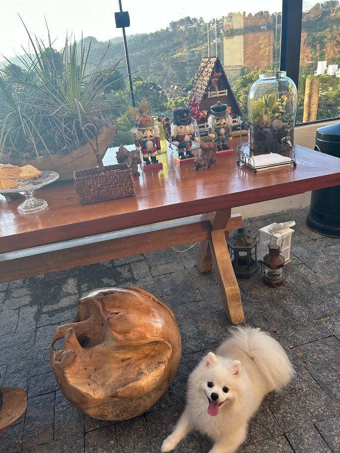 Pousada pet friendly em Campos do Jordão, com cachorro branco na área externa durante viagem em família.