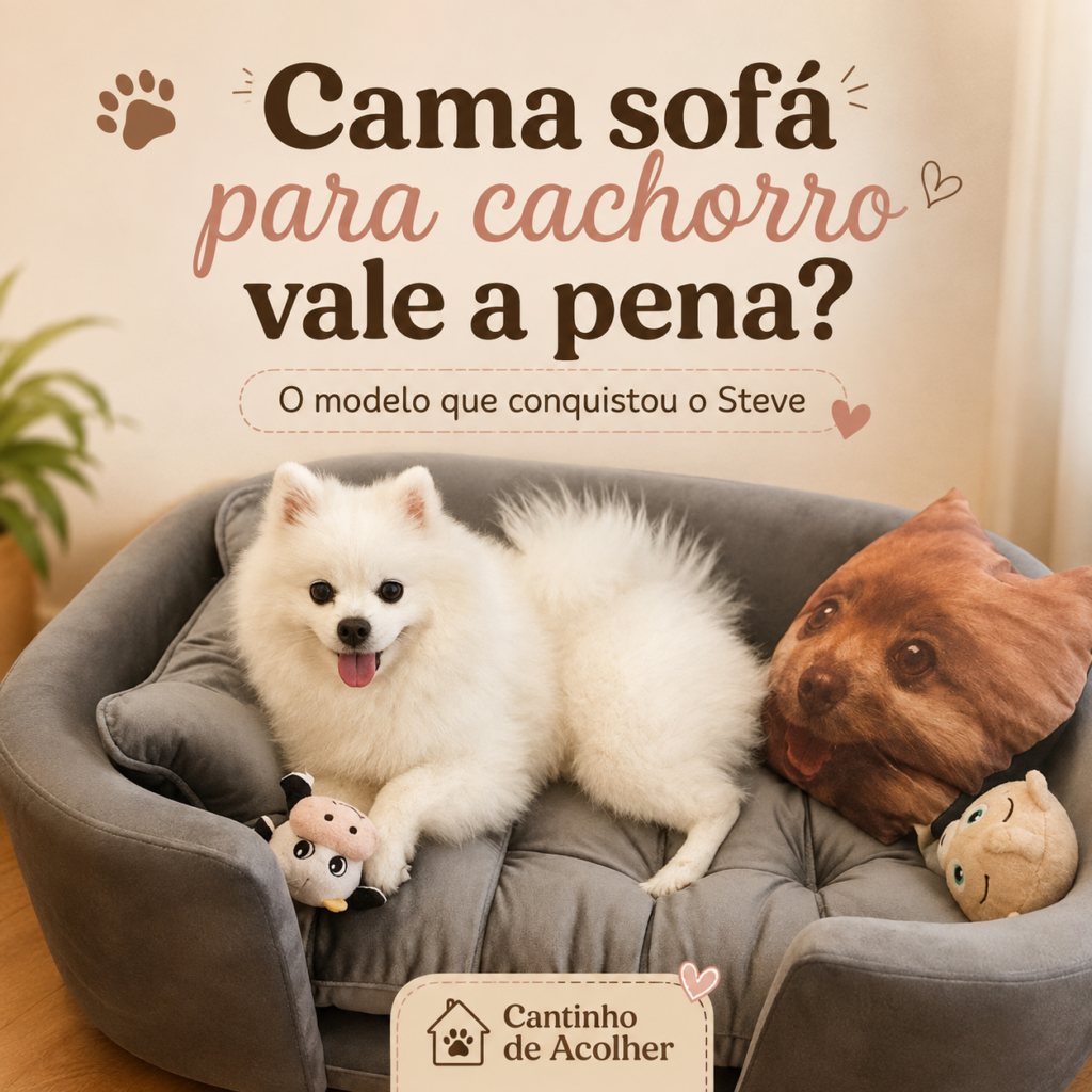 Steve, Spitz Alemão branco, deitado em uma cama sofá para cachorro