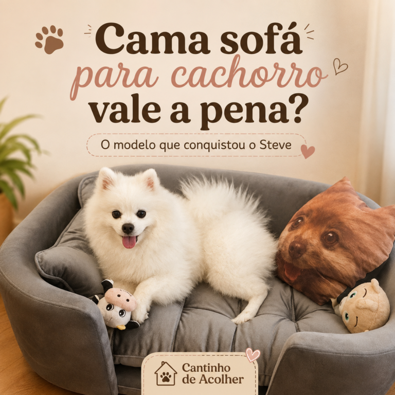 Steve, Spitz Alemão branco, deitado em uma cama sofá para cachorro