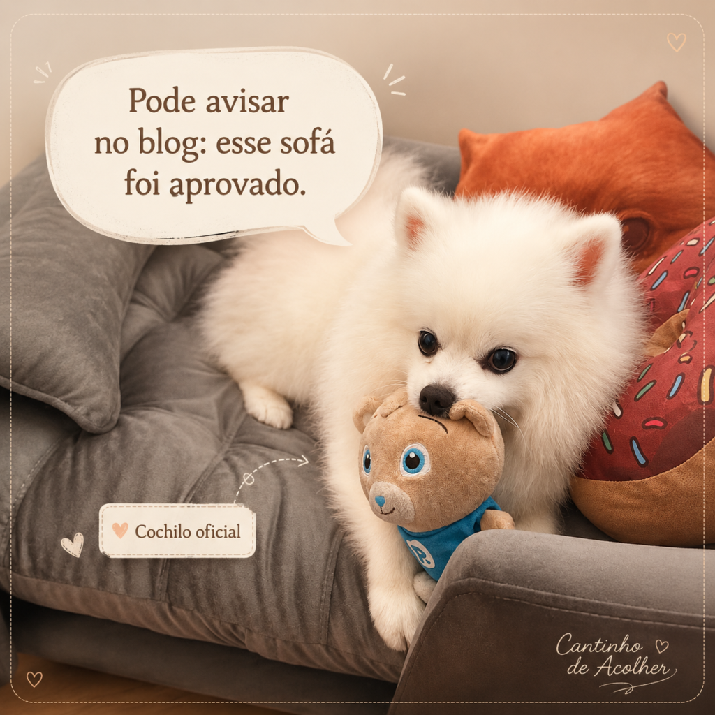 Steve, Spitz Alemão branco, deitado em uma cama sofá para cachorro aprovada por ele