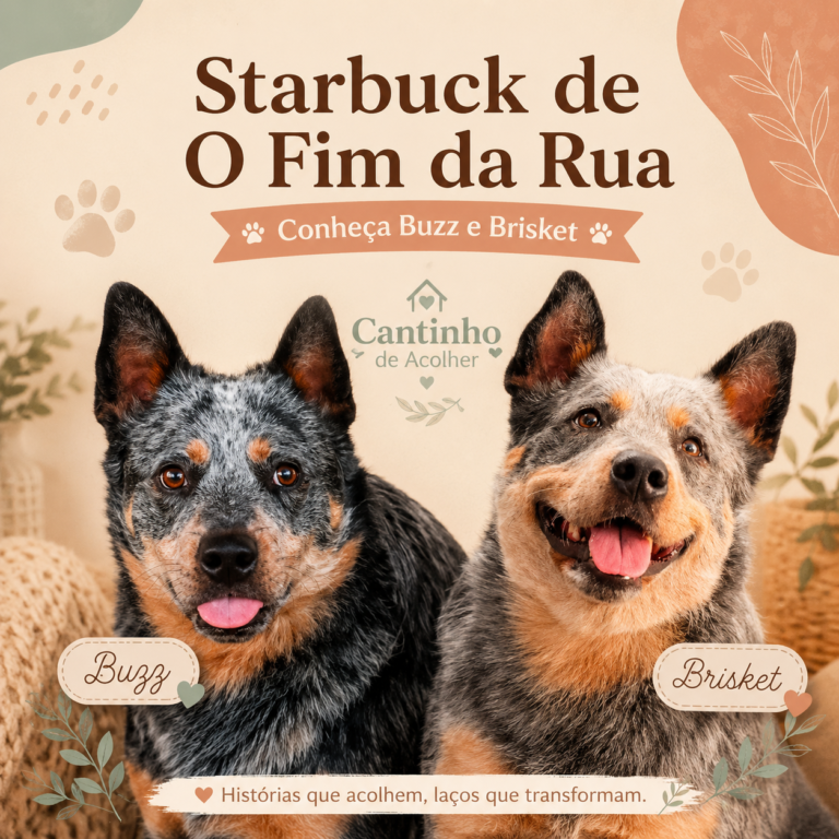 Starbuck, de O Fim da Rua, interpretado pelos cães Buzz e Brisket